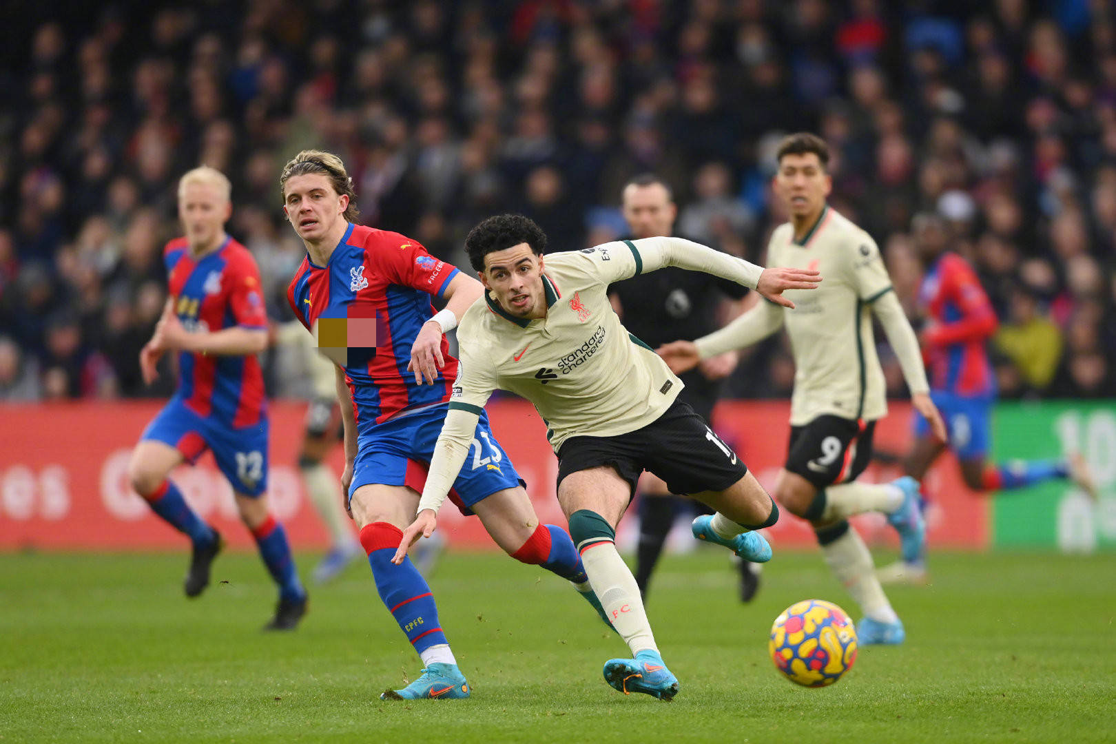 的角度来看 的角度来看